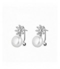 Pendientes de plata - 9120209