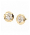 Pendientes de oro - 61A1262-2