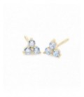 Pendientes de oro - 61A4061