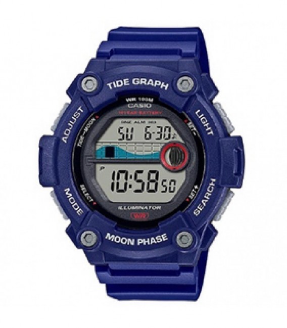 Reloj Casio - WS-1300H-2AVEF