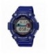 Reloj Casio - WS-1300H-2AVEF